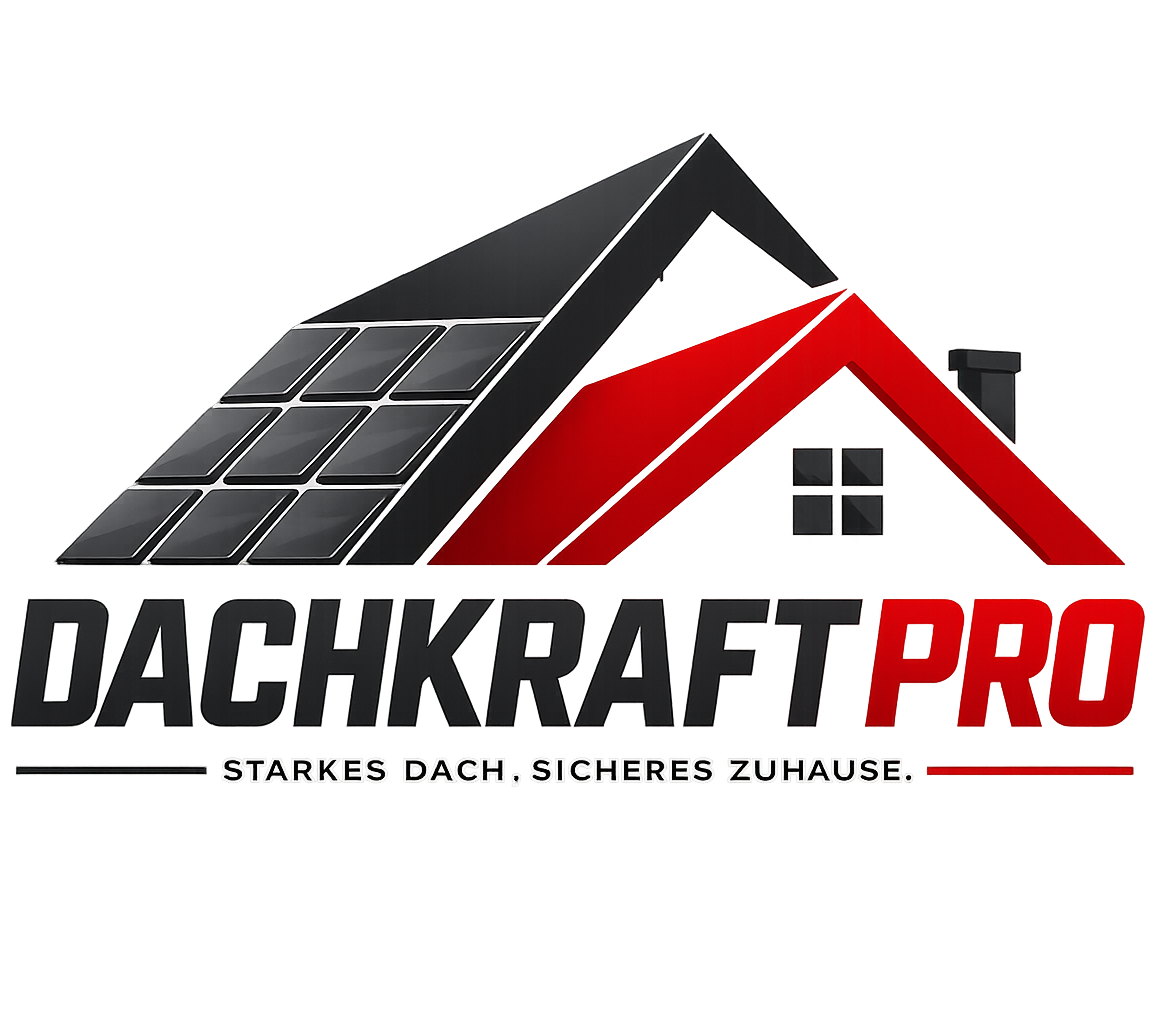 dachkraftpro.de
